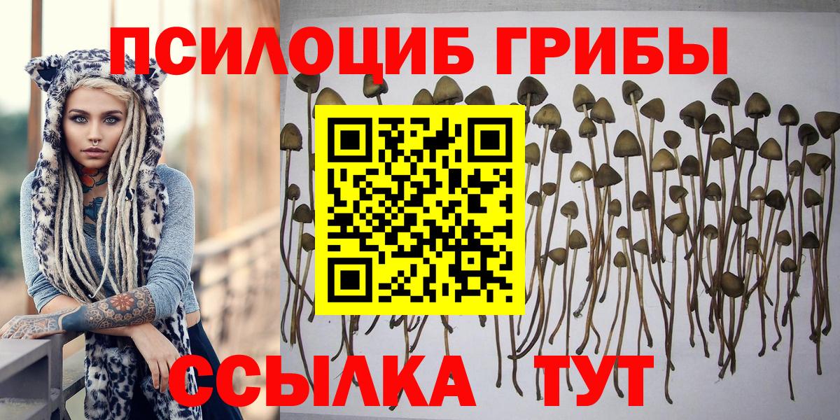 Галлюциногенные грибы GOLDEN TEACHER Еманжелинск